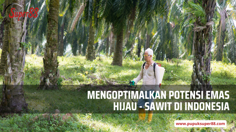 Mengoptimalkan Potensi Emas Hijau – Sawit di Indonesia